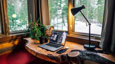 Fenster, Lampe, PC, Arbeitsplatz, Pflanze, Schreibtisch