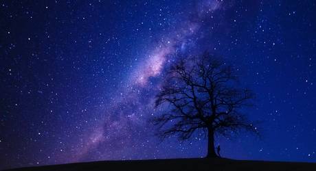 Sternenhimmel mit Schatten von Baum und Mensch sichtbar 
