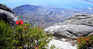 Tafelberg mit Blick auf Kapstadt und das Meer