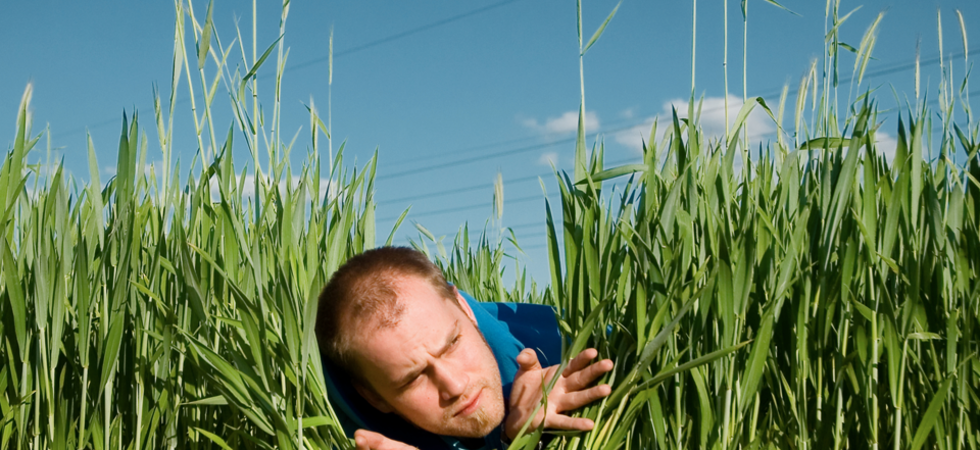 Mann auf dem Feld der sich duckt und zwischen dem Gras hervorschaut