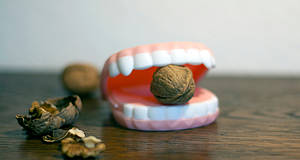 Gummigebiss mit Nuss zwischen den Zähnen
