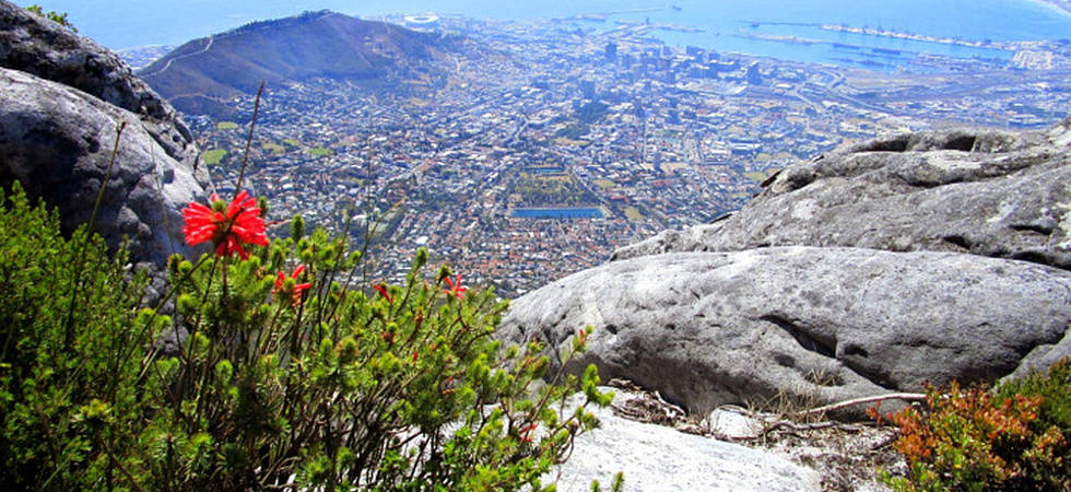 Tafelberg mit Blick auf Kapstadt und das Meer