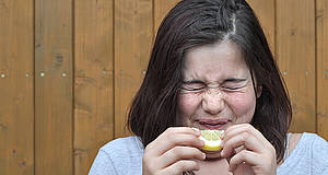Kind beißt in Zitrone und verzieht Gesicht