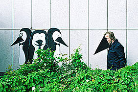 ein Mann mit Pinguinschnabel aus Papier schaut gemalte Pinguine an Wand an