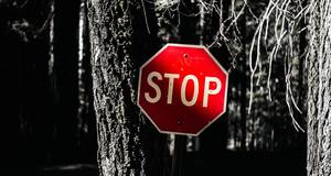 Wald, Park, Stop-Schild, Baum, schwarz, weiß, rot